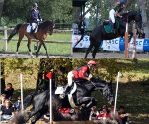 Immagine 2025-06-09 154834